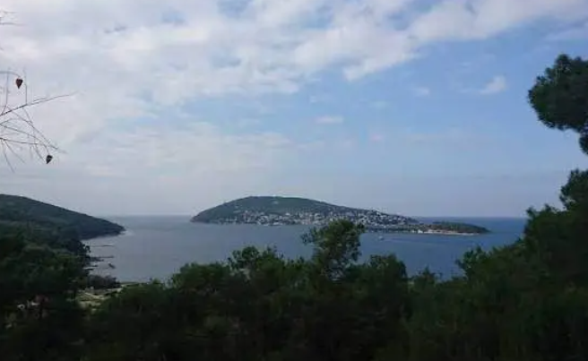 Ekran Görüntüsü 2026 08 20 010817