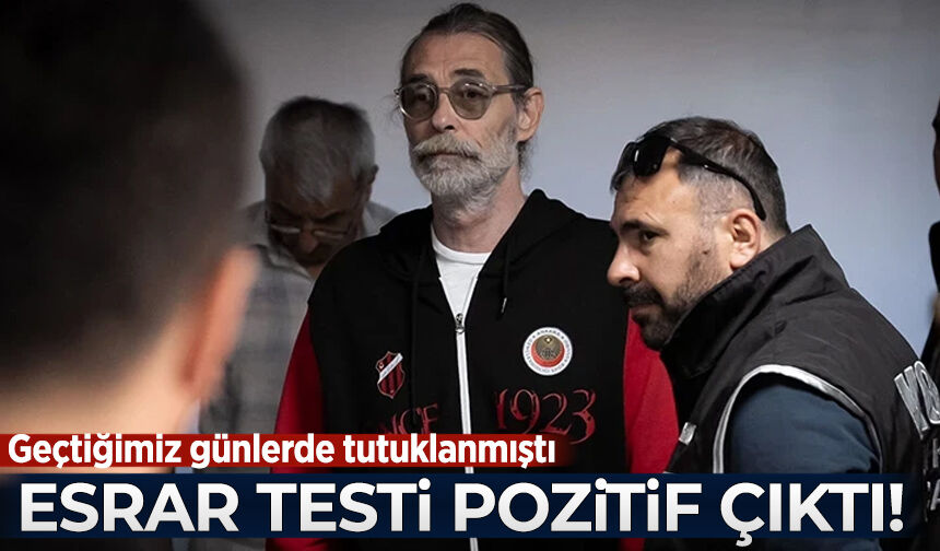 Siyaset