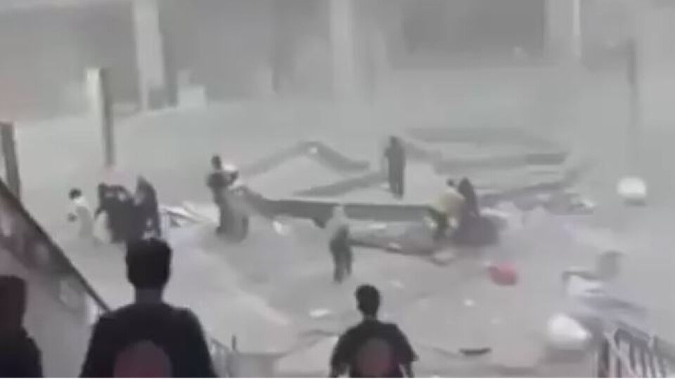 Dünya