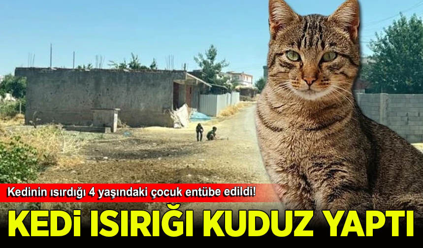 Diyarbakır