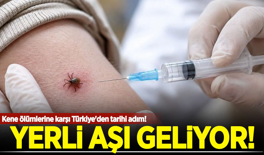 Sağlık