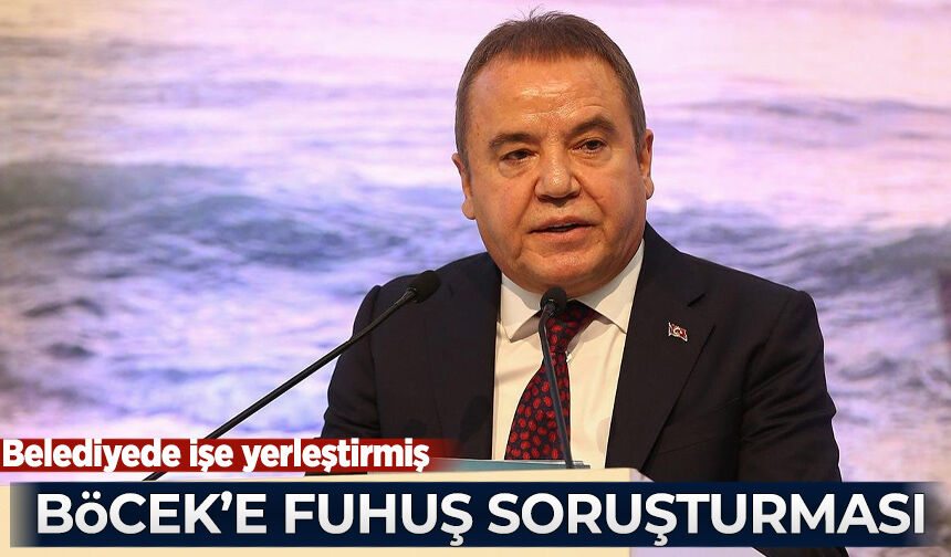 Siyaset