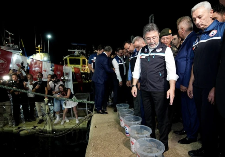 Ekran Görüntüsü 2026 09 01 011846