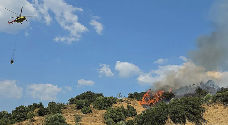 Manisa