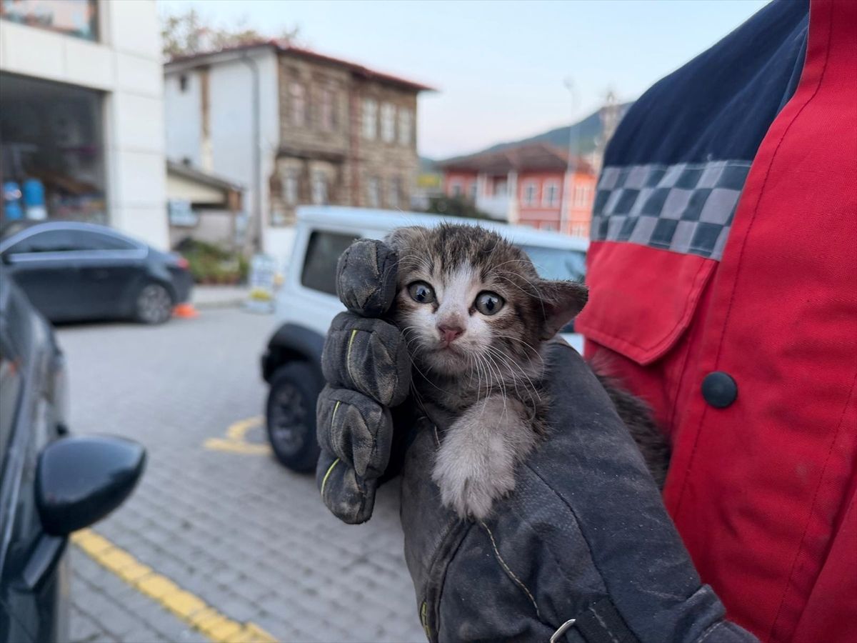 Sakarya