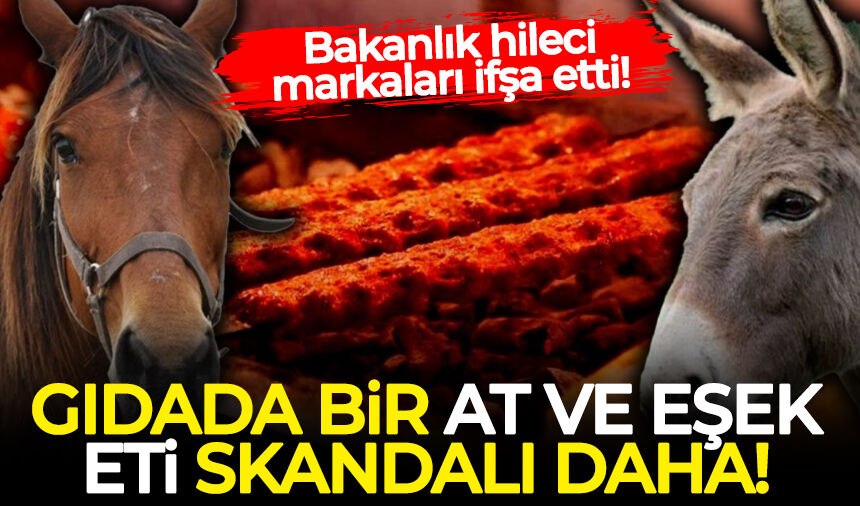 Bakanlık hileci markaları ifşa etti: Gıdada bir at ve eşek eti skandalı daha