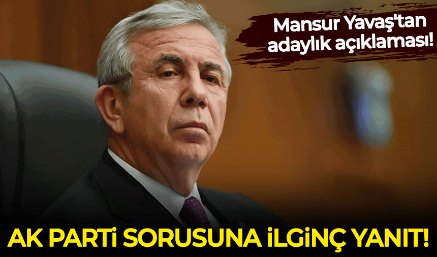 Siyaset